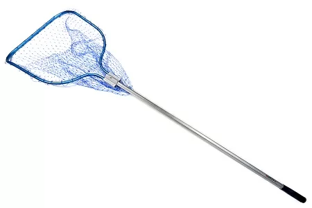 Sachok Higashi BG-1 Blue Mesh